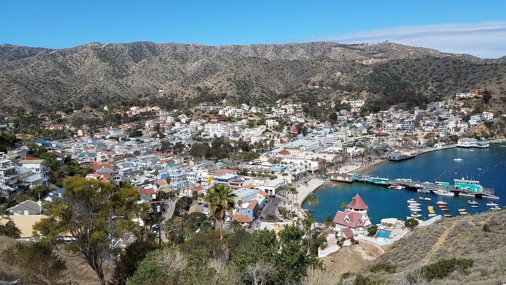 카탈리나 섬 가기 (Catalina&nbsp;Island)