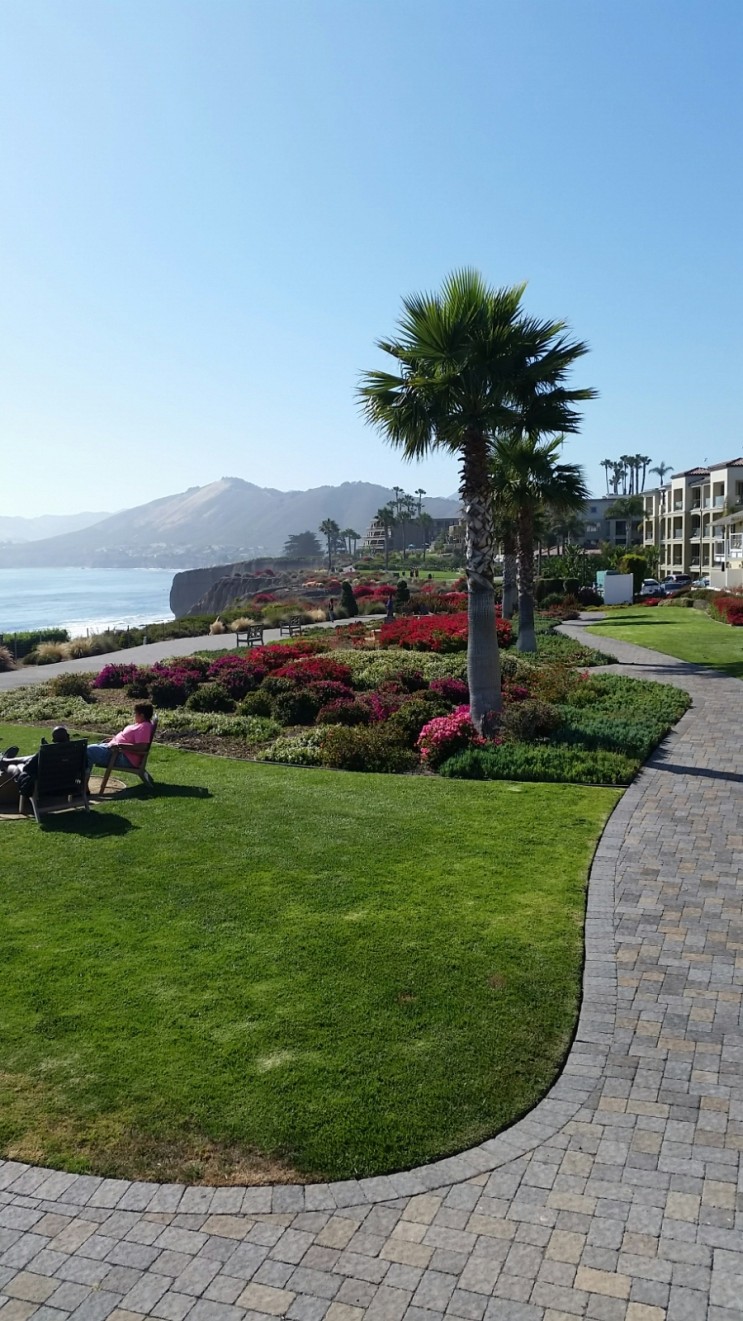 지금은 피스모비치에 왔어요 (Pismo&nbsp;Beach)