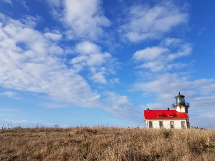 여기는 북캘 멘도시노 오버^^&nbsp;(Mendocino)