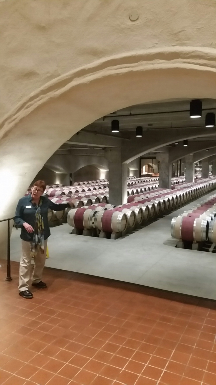 몬다비의 와인숙성실 구경해보실래요? (Robert Mondavi wine&nbsp;cellar)